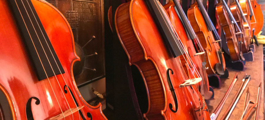 Orpheus Opernreisen, Musikreisen